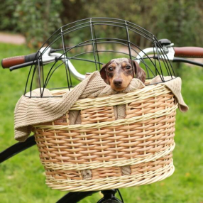 Велосипедная корзина для животных