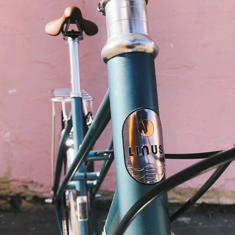 Велосипед LINUS MIXTE 7 ARTIC BLUE M - фото 4