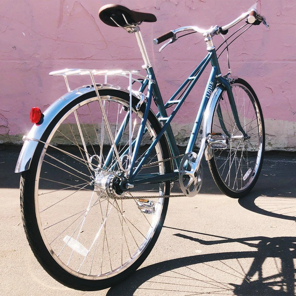 Велосипед LINUS MIXTE 7 ARTIC BLUE L - фото 4