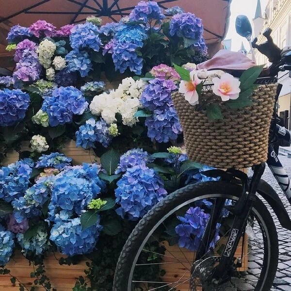 Корзина канатная канатная - фото 6