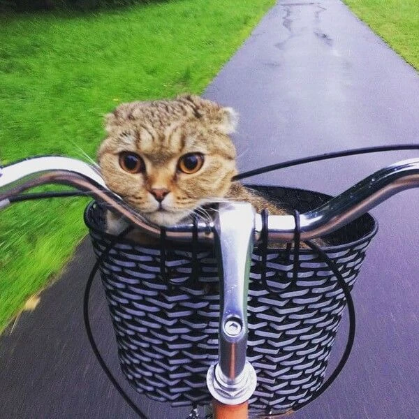 Корзина светоотражающая - фото 3