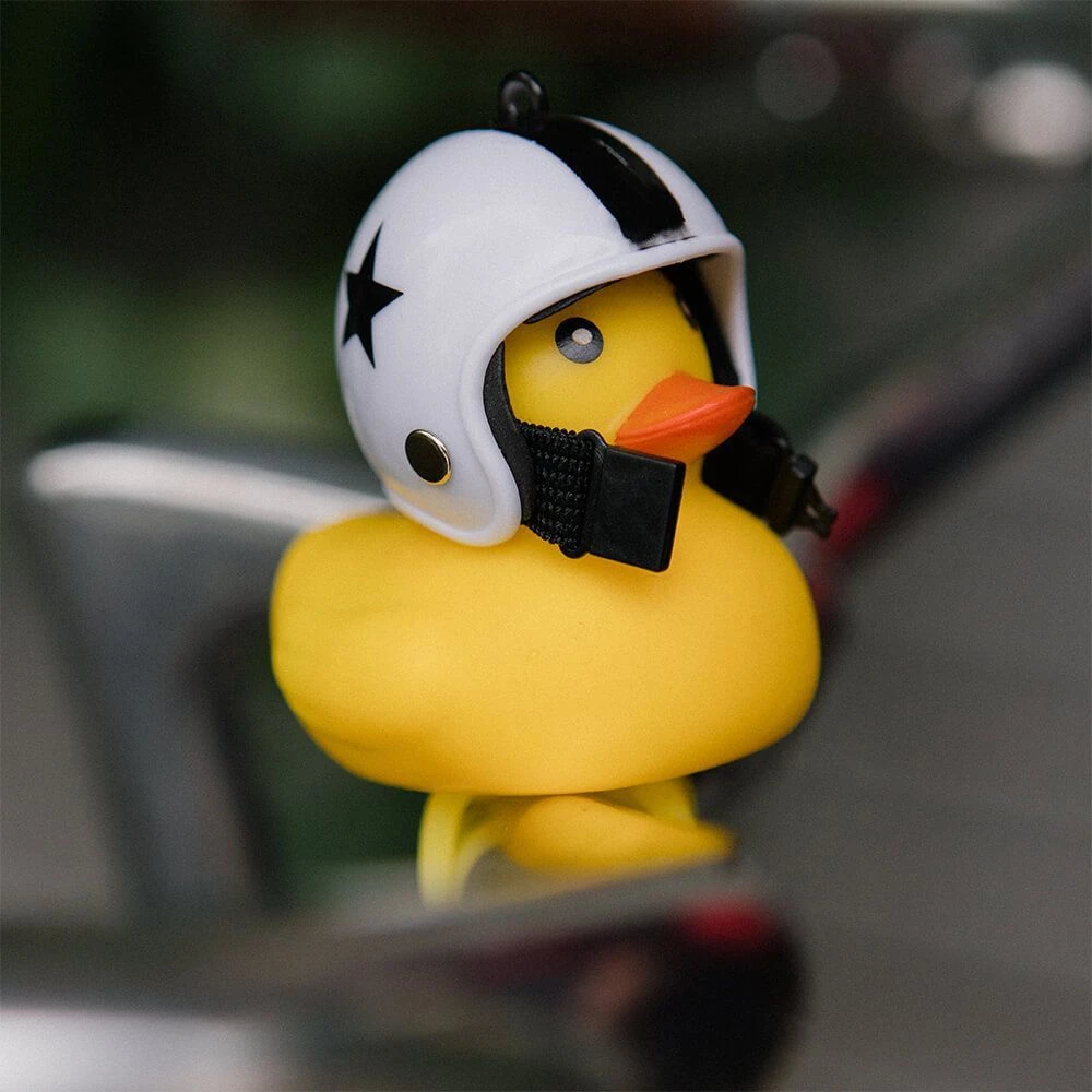 Утка на велосипед в шлеме - фото 12