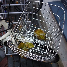 Велосипедная корзина эпохи классицизма